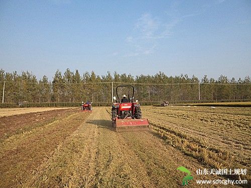 泗阳县积极探索新路径新方式推动农土地流转工作