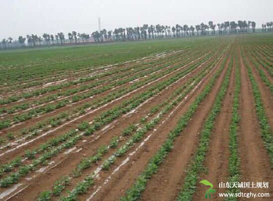 莒南县多措施助力农土地规范化规模化发展