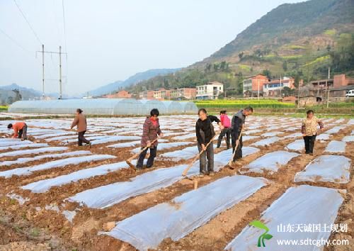 梁平县农土地流转让农民变身“上班族”