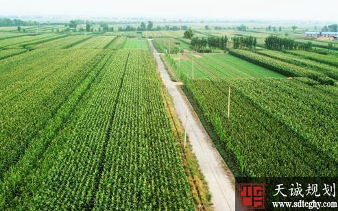 “风险补偿基金+农村土地承包经营权”小额贷款在界首市成功落地