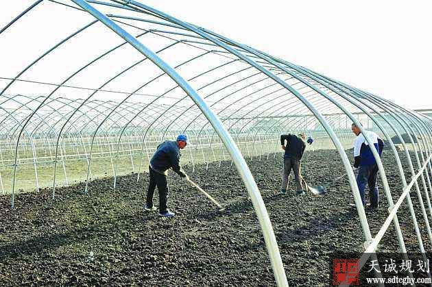 辽阳县今年将重点推进土地确权与土地抵押贷款