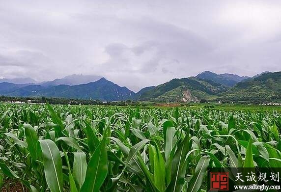 和静县农土地流转让百姓有了好“钱”程