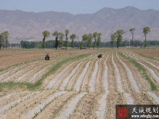 土地确权后有些农民无法守住自己的土地了