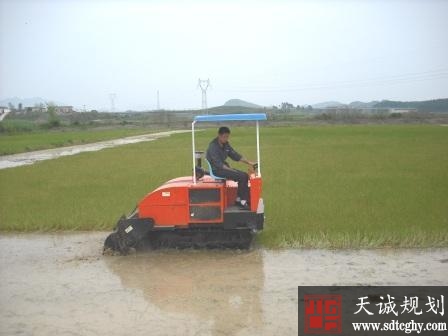 青阳县积极推进土地确权成果应用释放农村土地红利