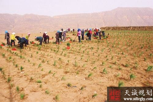 确保农村家庭成员平等分享权益 保障农村妇女土地权益