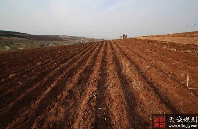 坚持耕地保护制度和集约用地制度建设幸福美好吉林