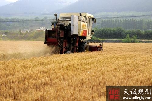 菏泽市完善土地流转机制统筹使用涉农资金助力脱贫攻坚