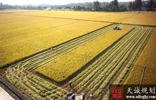 安徽发布《意见》守住耕地红线严禁土地流转“非农化”