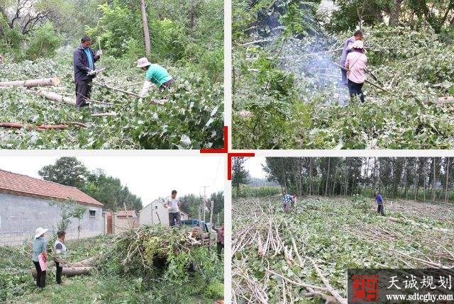 商河孙家村回收闲散土地和宅基地助力乡村振兴