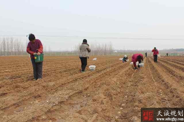 宁阳探索放活土地经营权途径并发放五百万贷款