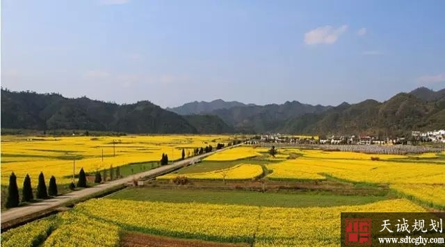 黄山区农地抵押贷款激活农村闲置土地资源带动农村繁荣