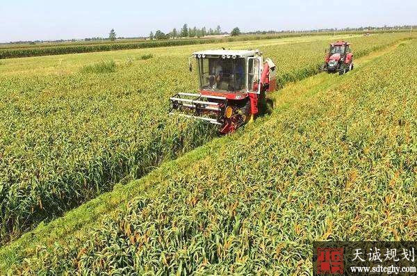 通过土地流转提高新型农业经营主体规模化 提升我国农业发展质量