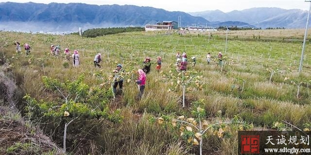 土地流转发展农旅产业 助力贫困村脱贫致富