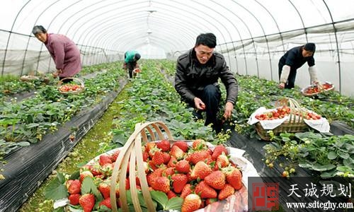 11部门和单位联合印发《意见》部署加快培育家庭农场计划