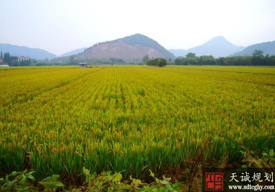  杭州不断完善耕地保护补偿机制守住耕地红线