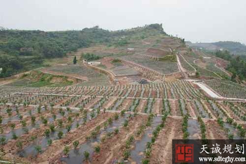 四川75个农村土地整治扶贫专项项目完工验收惠及153万人