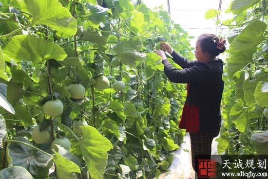 裕民县农民以土地入股土地合作社喜领分红