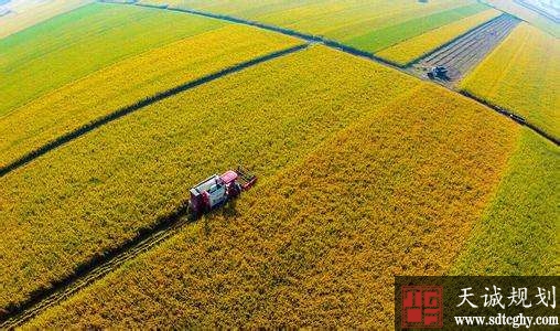 河北下发《通知》严控各类建设占用永久基本农田