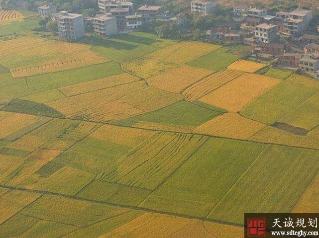 广西五大举措保护永久基本农田为粮食生产安全提供基础