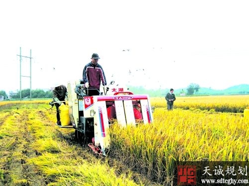 廉江土地流转“转出”富民强村新途径