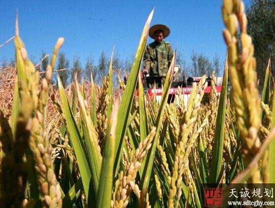 天津加大家庭农场培育 并择优给予十万元补贴