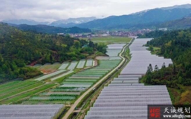 始兴县农土地流转带来的变化让农民吃到了甜头