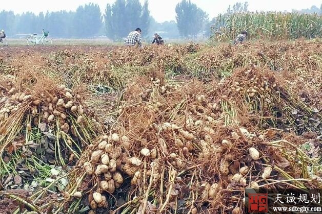 舞钢市土地流转盘活土地资源并实现三赢