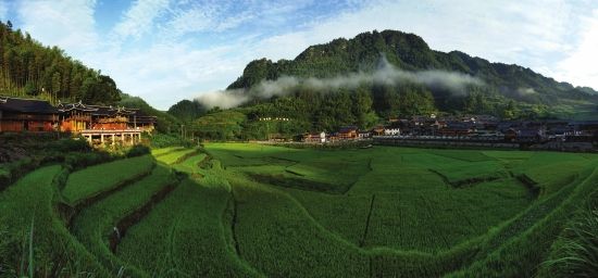 洞口县农土地流转促规模经营提高集体经济收入水平