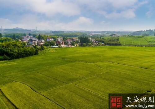 土地流转让农民实现租金和薪金一块拿过上好日子