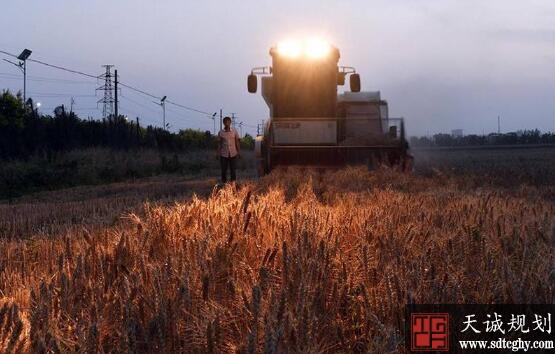 淄博高标准农田建设成效显著并获中央财政激励资金3000万元