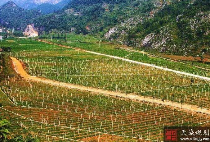 盘州市农田水利成为利润泽山村一道道亮丽的风景线