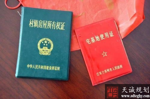 允许返乡下乡人员和当地农民合作改建自住房？