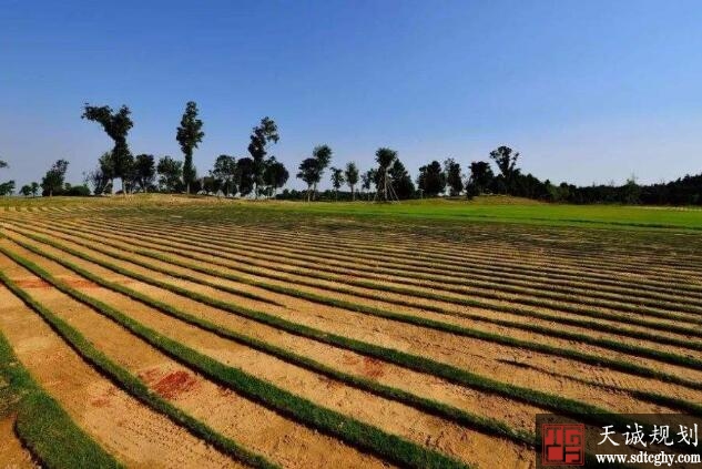 广东占用耕地严重地区将按比例冻结年度用地指标