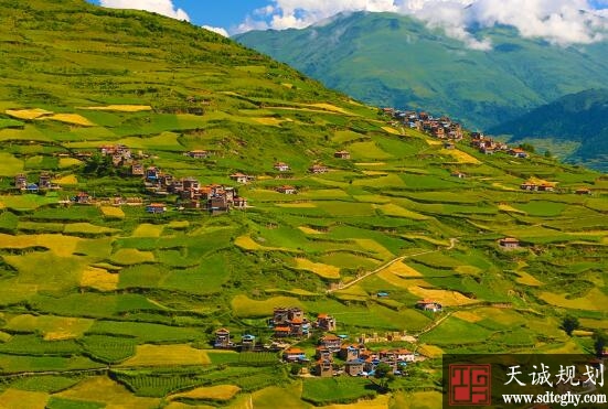 土地流转变荒地成宝地 鼓起农民的钱袋子