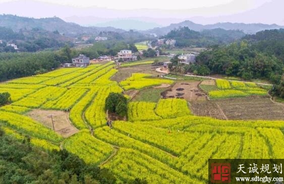 防城港市加强乱占耕地建房问题整治和农房审批相关工作