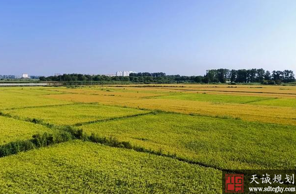 黑龙江将建高标准农田1亿亩 为粮食生产安全打下坚实基础