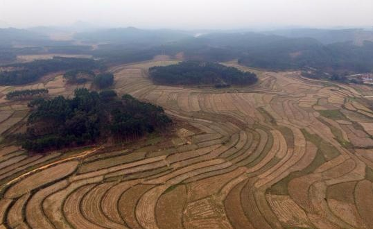 广西引发《通知》加强和规范土地资产管理工作