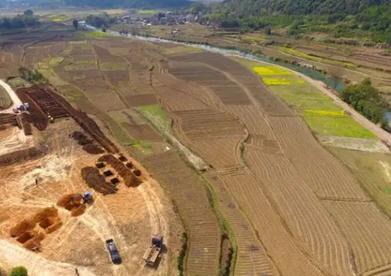 东安县土地流转为集体农户“转”出发展新天地