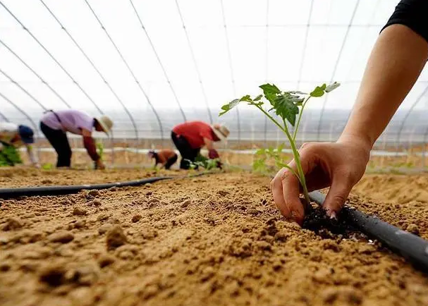 今年河北家庭农场总量有望突破6.5万家