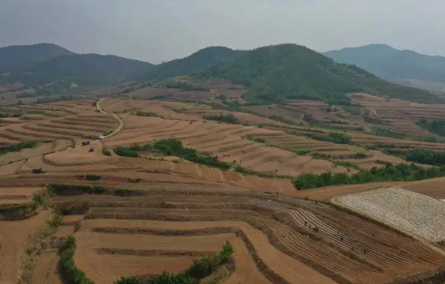 卢龙土地整治整出好梯田实现粮食产量连续三年增长