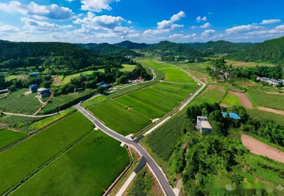 遂宁市探索新机制新措施 防范农土地流转风险