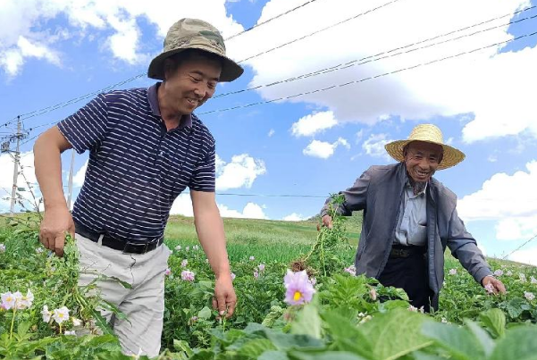 “党建引领、统种共富”－以产业振兴助推乡村全面振兴