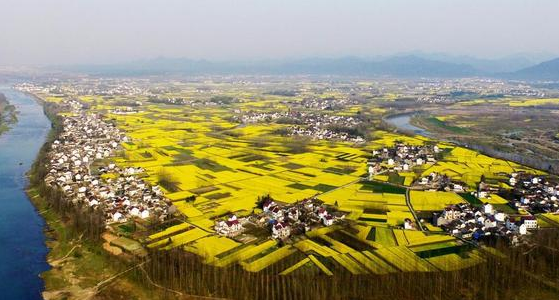 泾县激活闲置宅基地提高农民收入水平